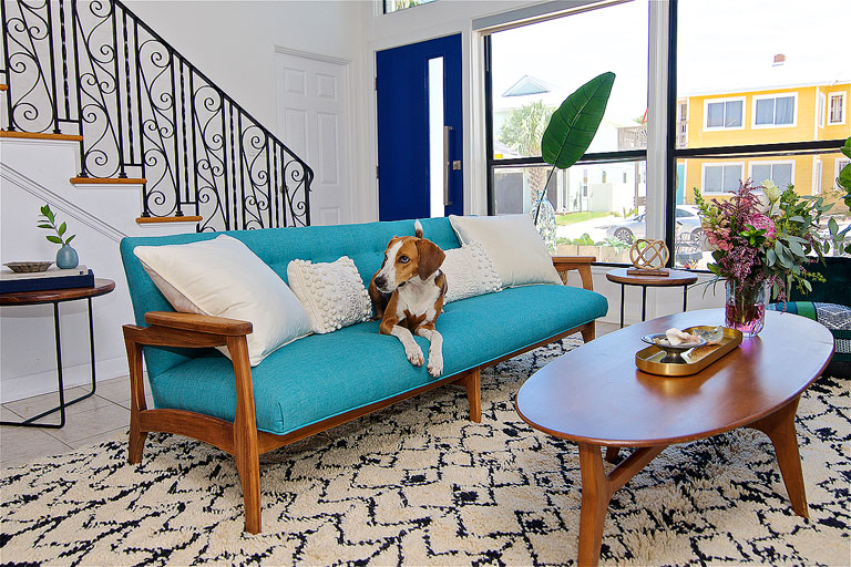 The owners dog rests of the sofa in this midcentury modern and bohemian influenced living room by Denver based interior designer Fernway & Avalon.